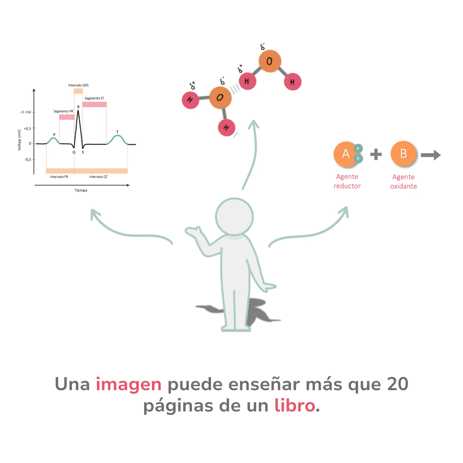 Reforzar los conocimientos previos